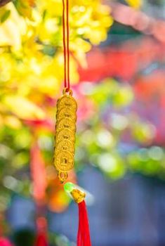 bầu cua trực tuyến Sodo
